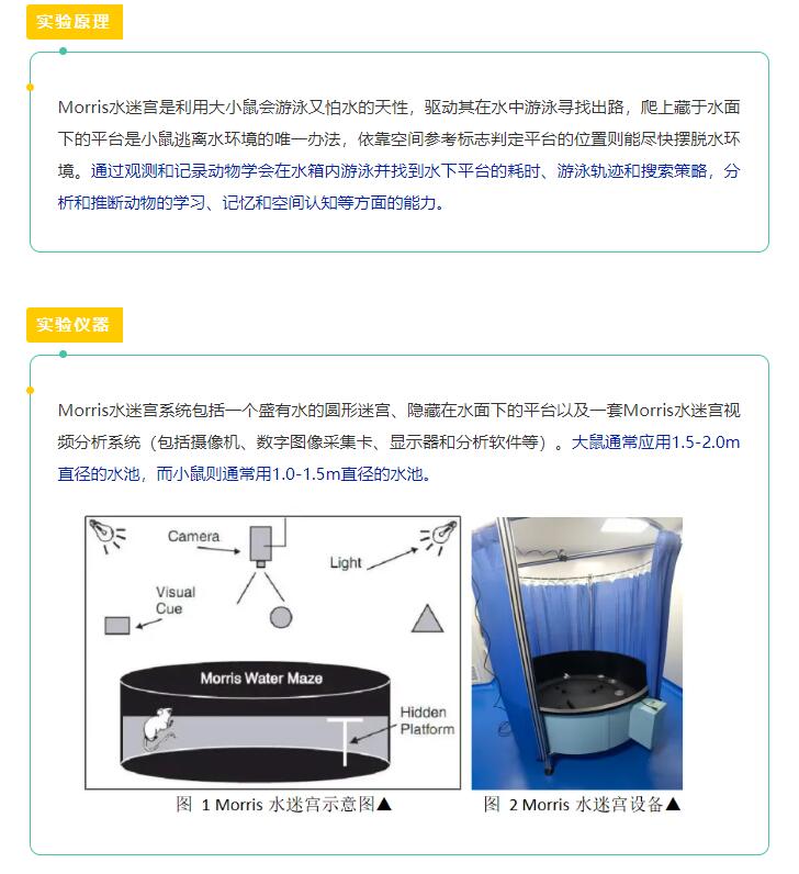 頁(yè)面正面案例.jpg